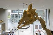 het natuurhistorisch rotterdam 3-2022 1375